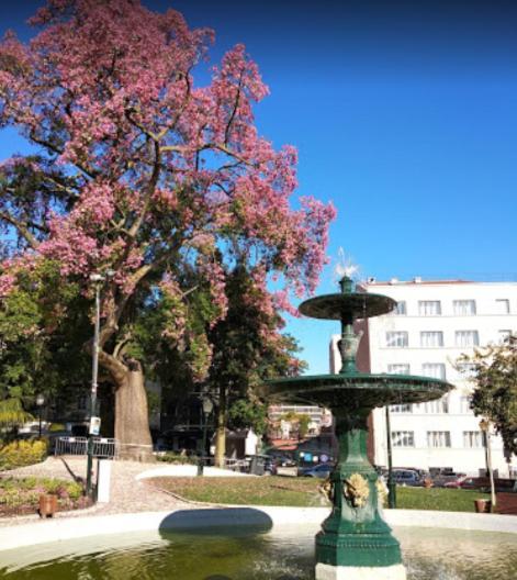 Alegramente Lägenhet Lisboa Exteriör bild