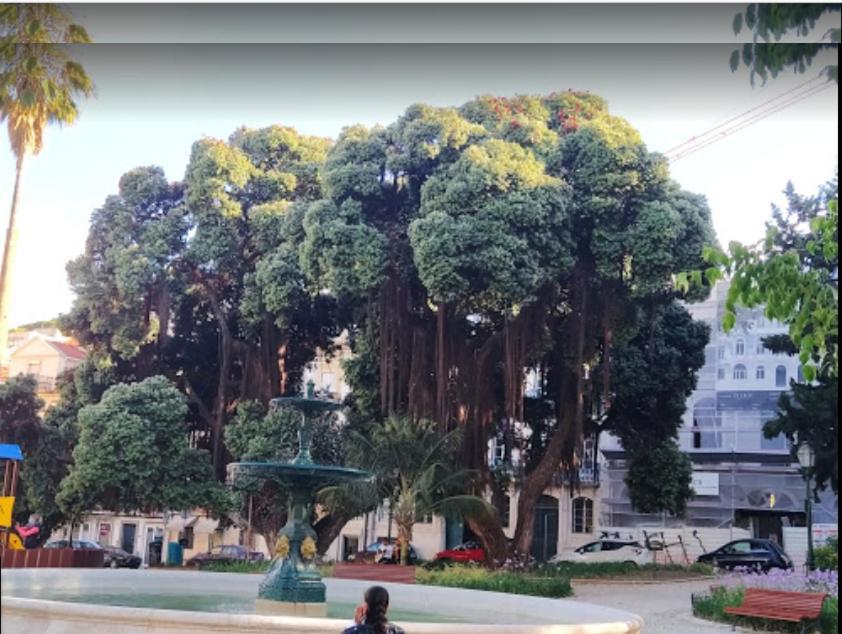 Alegramente Lägenhet Lisboa Exteriör bild